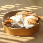 FUKUMARU 2-in-1 cat scratch pad with an indoor cat curled up comfortably inside the ergonomic curved structure.