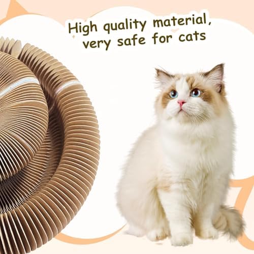 Packaging contents of the Kitty Kurlz scratcher showing the main cardboard unit, tracking ball, and catnip packet.