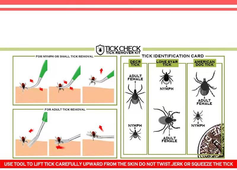 Compact leather case for storing tick removal tools