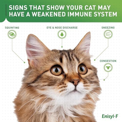 Vetoquinol Enisyl-F Lysine supplement for cats packaging details