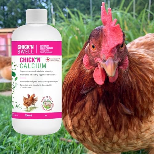 Poultry drinking water container mixed with liquid calcium supplement
