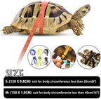 Blue nylon turtle walking lead showing adjustable straps and metal chain
