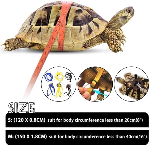 Blue nylon turtle walking lead showing adjustable straps and metal chain