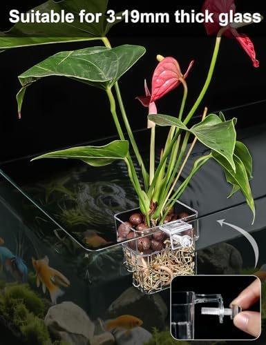 Roetelo acrylic aquascaping plant holder pack of two showcasing the adjustable screw hook