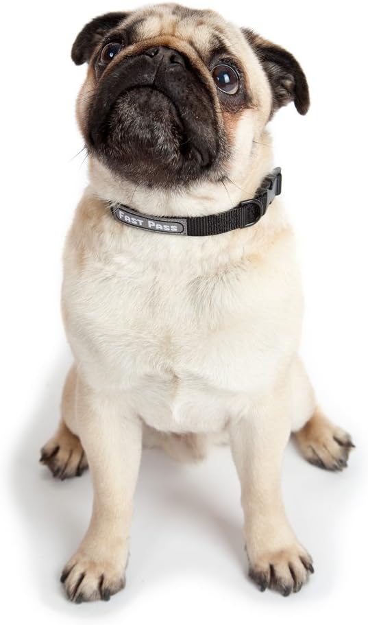 Adjustable seven to ten inch pet collar for air travel