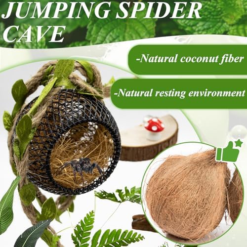 Jumping Spider Habitat Accessories Enclosure Habitat Accessories Jumping Spider Web Climbing and Feeding Platforms with Magnets for Small Insects Critters - Image 4