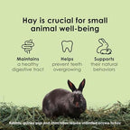 Kaytee Timothy Hay 3 pounds bulk packaging lifestyle layout