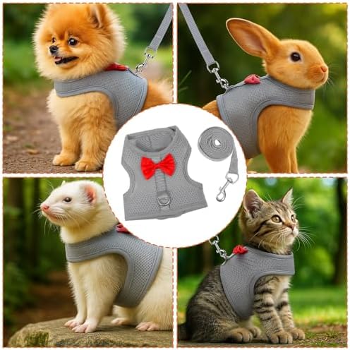 Prasacco imported small pet safety gear kit packaging showcasing authentic premium mesh walking vest set