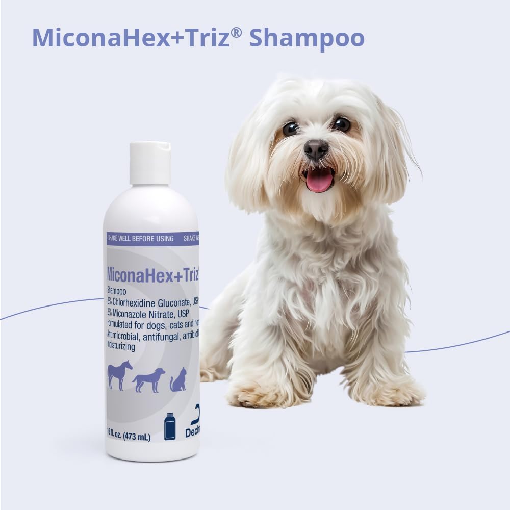 Clinical strength MiconaHex+Triz shampoo for skin infections