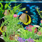 Full aquascape display showcasing a dense underwater jungle look using thirty mixed plants