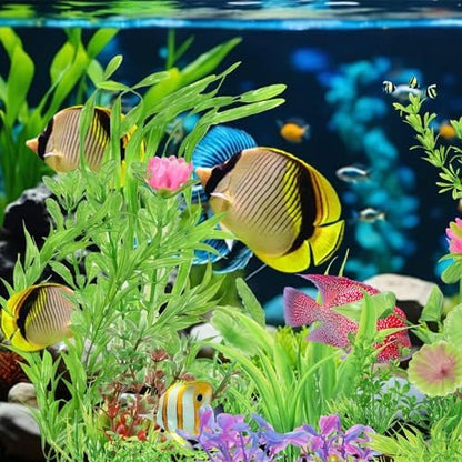 Full aquascape display showcasing a dense underwater jungle look using thirty mixed plants