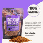 Natural nutritious pet food package close up