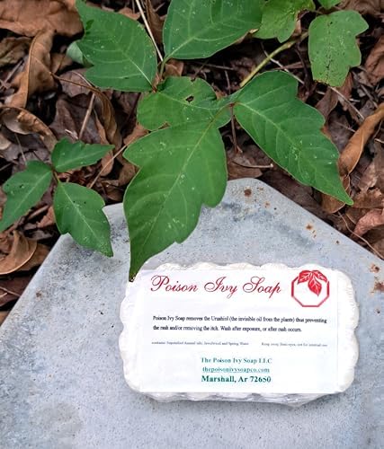 Two pack cream colored jewelweed soap bars for outdoor rash protection