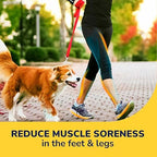 Close up of the flexible arch support on Dr. Scholl's shoe inserts.