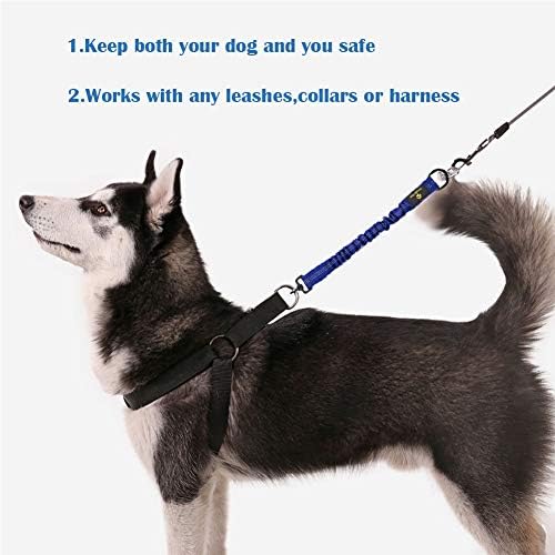 Close up of stainless steel swivel clip on bungee leash