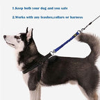 Close up of stainless steel swivel clip on bungee leash