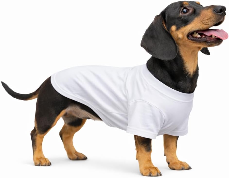Lovelonglong Dachshund white cotton t-shirt front view