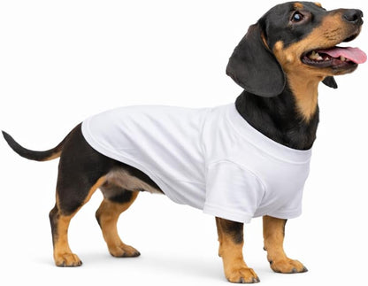 Lovelonglong Dachshund white cotton t-shirt front view