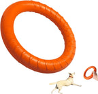 Dog catching the Dlder floating ring in a park