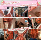 Leftstarer strawberry pattern cage toy hanging setup