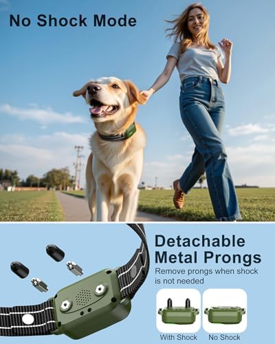 Jugbow imported rechargeable dog shock collar complete kit