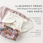 Esembly organic cotton fitted diaper flat layout showing butterfly core