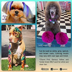 Adrian Pink dog hair dye application on pet fur