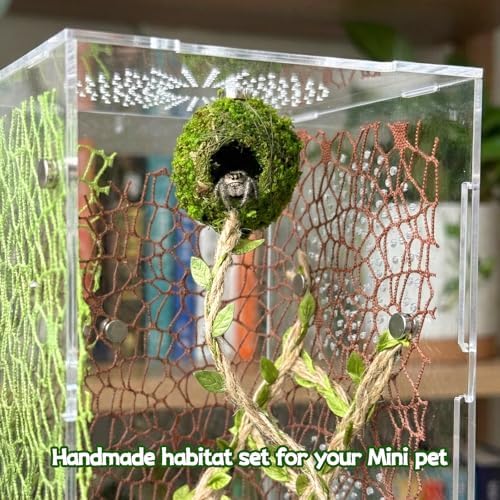 Magnetic Jumping Spider Hideout,Habitat Dcor Kit - Handmade Moss Hideout with Climbing Rope,Hemp Rope Bridge,2Pcs Climbing Web& Loose Moss,Fun Enclosure Accessories for Climbing & Hiding (4.5cm) - Image 5