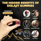 Close up of Newrish Shilajit gummies texture and lemon flavor details