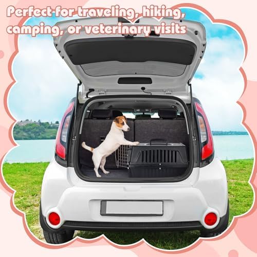 Locmeo hard shell pet kennel black color variant