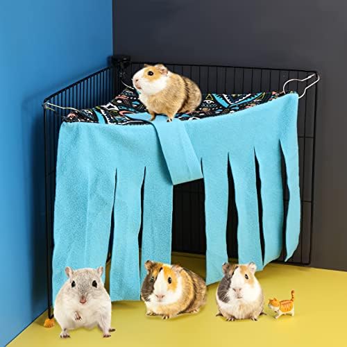 Shappy corner hideout dual layer structure closeup