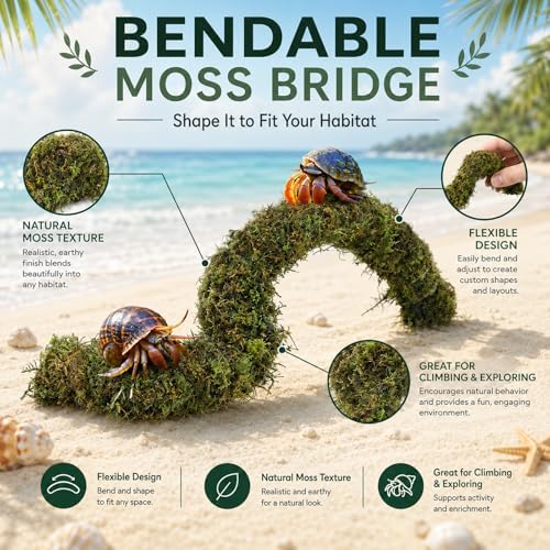 HERCCOCCI Hermit Crab Accessories, Hermit Crab Toys Flexible Climbing Bridge Reptile Hammock Habitat Decor for Hermit Crabs Leopard Geckos Crested Tortoise Snake - Image 5
