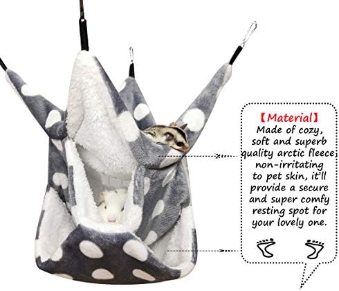 Sugar glider playing in a triple layer cage accessory