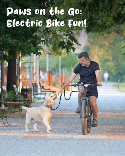 High mounted hands free pet exerciser wand showing premium stainless steel components