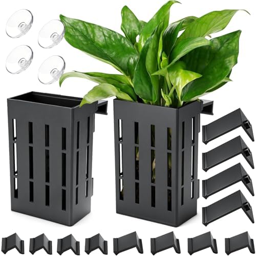 Borlech black aquarium plant basket attached to glass using heavy duty suction cups.