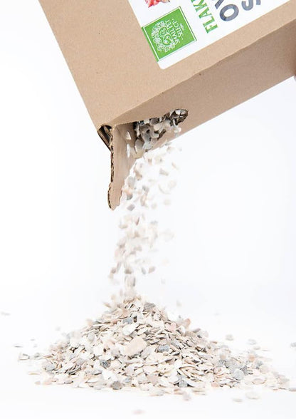 All natural crushed oyster shells for poultry eggshell strength