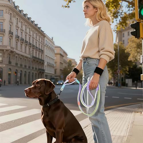 Purple and green dog leash by EffiBrill