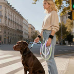 Purple and green dog leash by EffiBrill