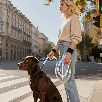 Purple and green dog leash by EffiBrill