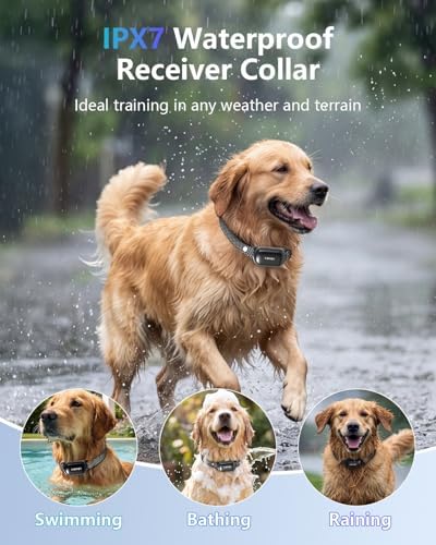 Patpet dog training collar remote interface with intensity levels