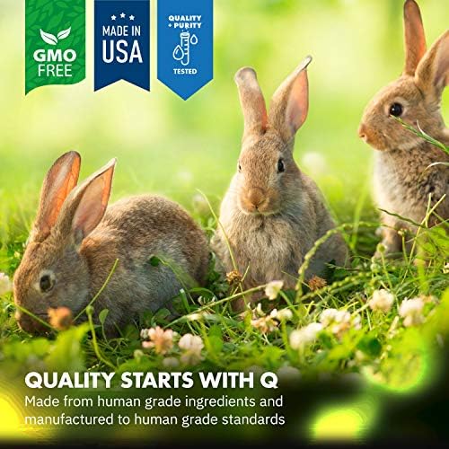 Equa Holistics HealthyGut Probiotics powder texture and scoop detail