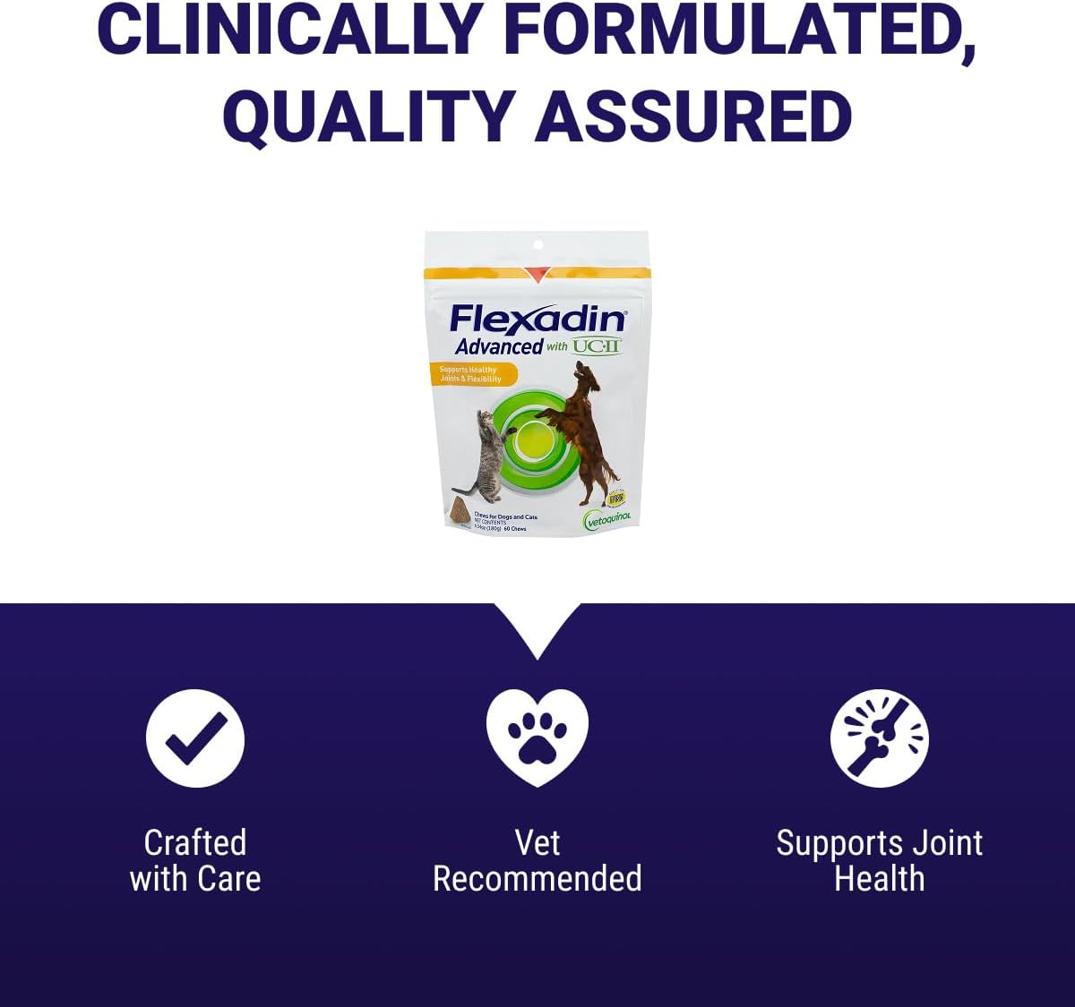 Premium dog hip and joint care chewable treats 60 count bag