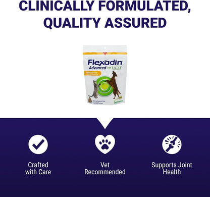 Premium dog hip and joint care chewable treats 60 count bag
