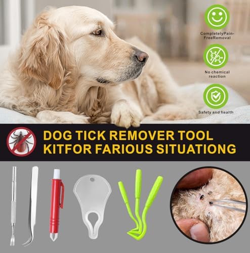 Tick key tool from the Maycreate removal kit.