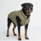 Spark Paws windproof dog jacket highlighting the reflective zippered storage pocket