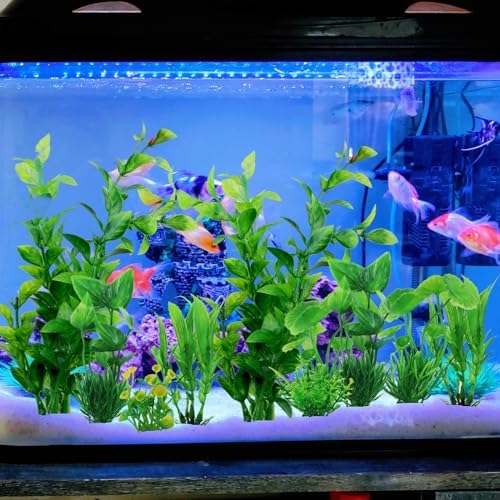 QUOZUO plastic aquatic vegetation setup inside a ten gallon freshwater fish tank.