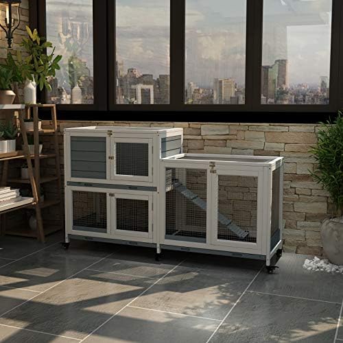 GDLF pet cage lifestyle setup overview