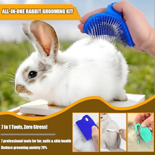 Patelai blue grooming combs for removing matted fur on rabbits and guinea pigs