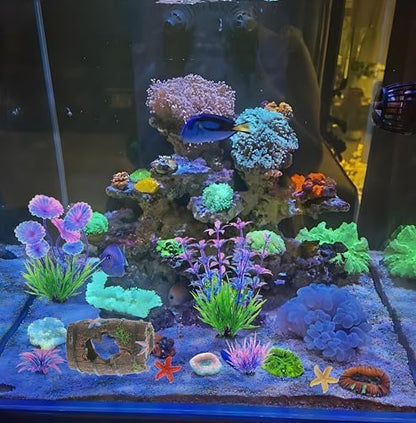 MQACPUPY premium imported betta fish enrichment toys close up view.