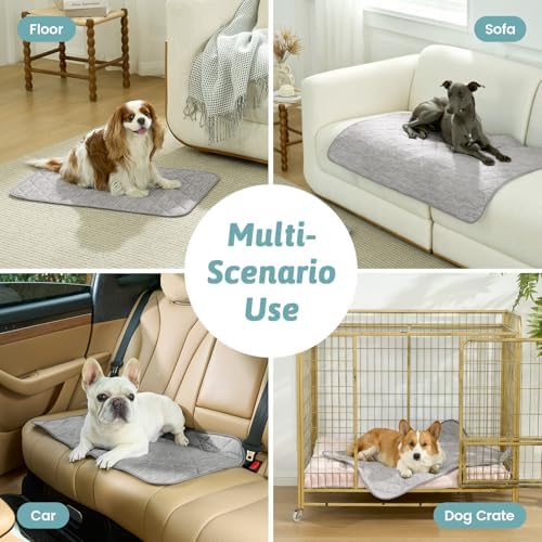 Large dog sleeping on gray COZY KISS washable cooling mat